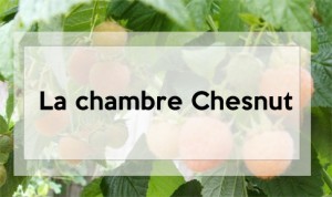 chambre-chesnut