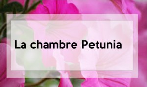 chambre-petunia